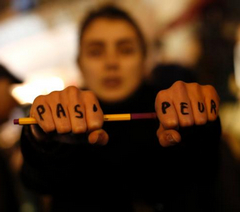 恐袭再次助长法国人反伊斯兰情绪