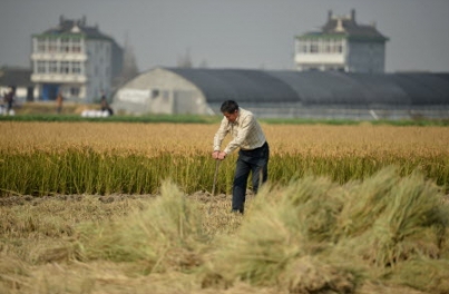 姜志勇：基层改革探索需要制度保障