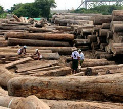 缅北战事牵连中国公民 外交部发声