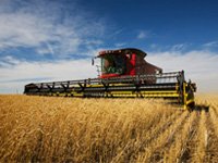 姜志勇：百年中国农村变革与农村治理现代化