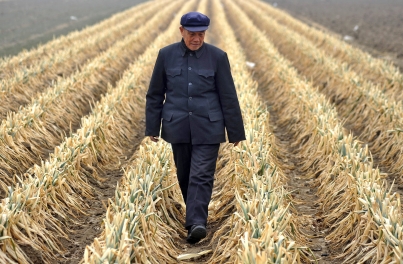 姜志勇：面临三大难题困扰 基层改革积极性堪忧