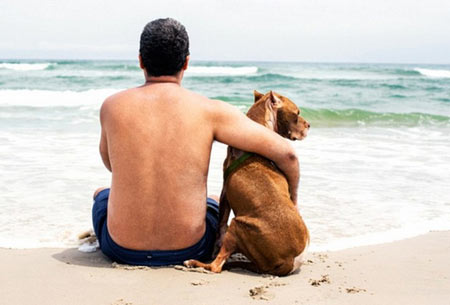 在它去世前带它去看海