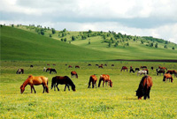 省长这一年：“新常态”下的省级生态文明建设