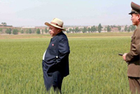 【第31期】朝鲜，百年不遇的旱灾！