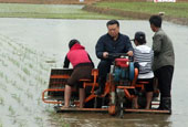 中国驻朝鲜大使在平壤插秧支农