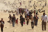 【第44期】 ISIS，这一年到底杀了多少人？