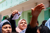 【第48期】埃及，有一个贩卖孩子的地方