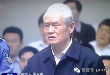 媒体盘点：哪些官员“退而不休” 落马前扔插手干政