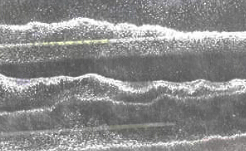 专家称滨海新区白色泡沫或是爆炸过程中迸出