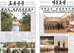 金正恩妹妹主导朝鲜4大报刊“全彩” 凸显宣传价值