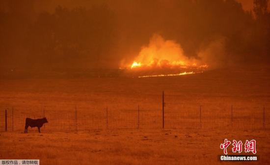 加州林火惊动奥巴马持续超一周吞噬1200民宅