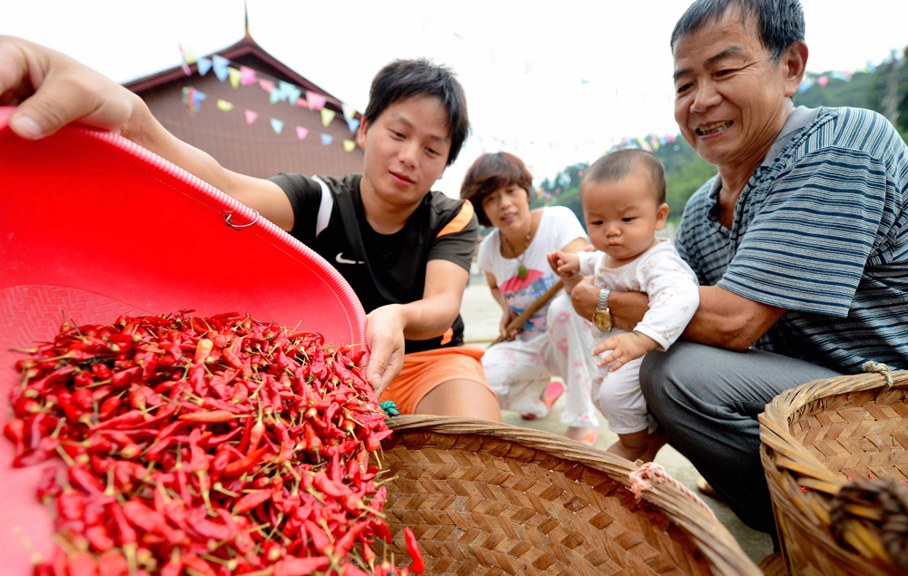 特稿:“成熟中国”的决定性五年