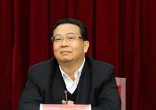 刘晓凯、陈志荣、金振吉被递补为中央委员