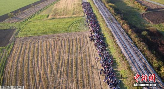当地时间10月26日，位于斯洛文尼亚农田间的小路上，数万难民排队前行，从空中俯瞰，队伍绵延数公里。在冬季来临之际，这些难民不得不寻找下一个安身之处。斯洛文尼亚总理日前表示，欧盟各国在解决日益突出的难民危机问题上很难达成一致，严重的情况下有可能导致欧盟瓦解。这一消息促使数万的难民沿巴尔干半岛朝西欧进发。