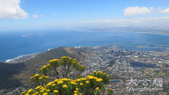 山海一色开普敦