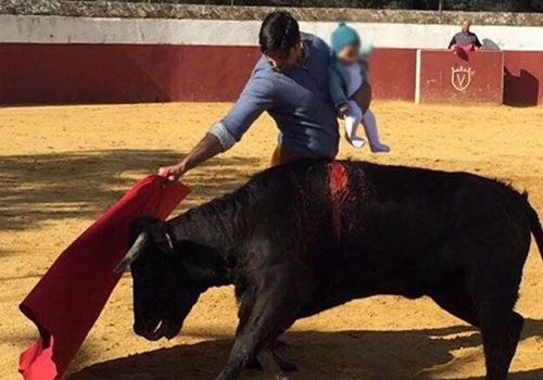 斗牛士抱着孩子斗牛