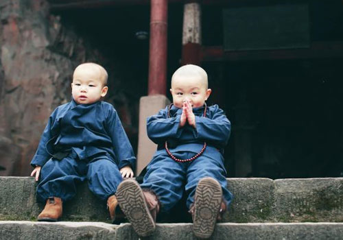 重庆“萌和尚兄弟”