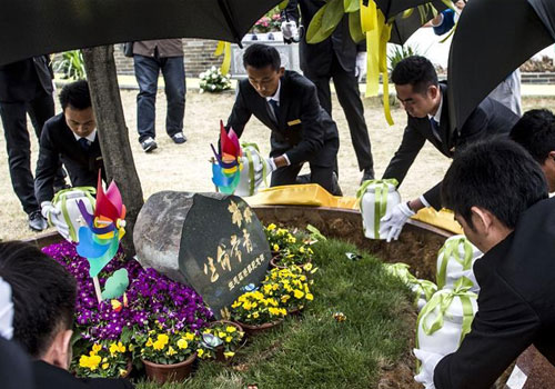 武汉：一棵树安葬27位逝者