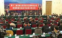 聚焦本港發展 不辜負張德江委員長香港之行