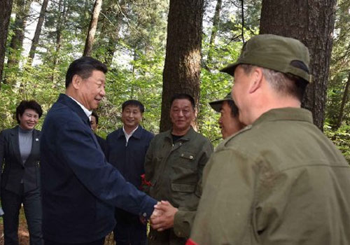 习近平考察黑龙江