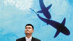 保护鲨鱼 艺术巡回展