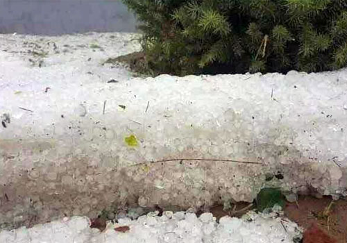 河北突降冰雹砸坏菜地