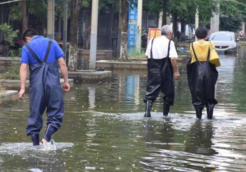 武汉：渍水渐消退 灾民妥善安置