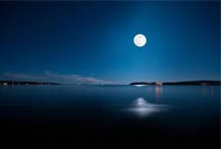 李理：江南明月