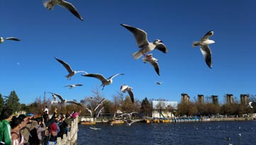 港人春节新去处 深圳搭高铁直达昆明