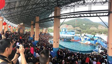 深圳港人跨境过年多姿多彩 佛寺参拜乐园畅游