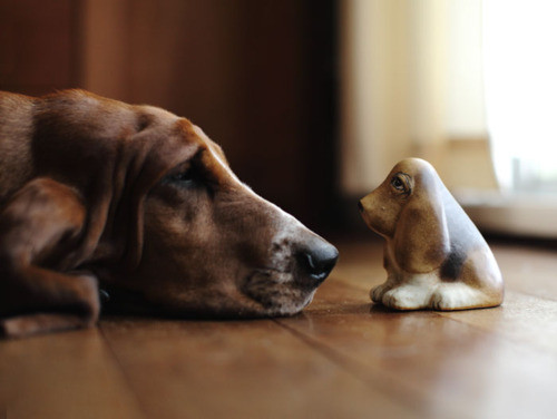 干了这杯单身酒，明年还要一起走！