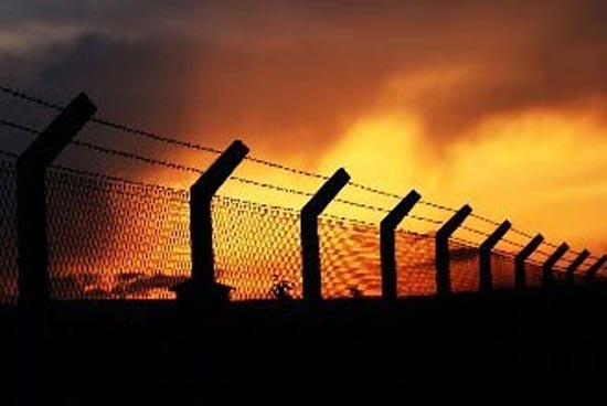 出狱的“陈满们”如何不被“吃”掉