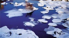 龙江春雪正当时