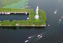 雄安新区白洋淀苇绿荷红迎来“最美季节”