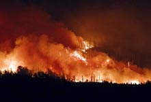格鲁吉亚中部山火仍在蔓延