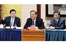 张德江俞正声刘云山参加团组讨论