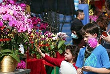 香港年宵花市热闹开张
