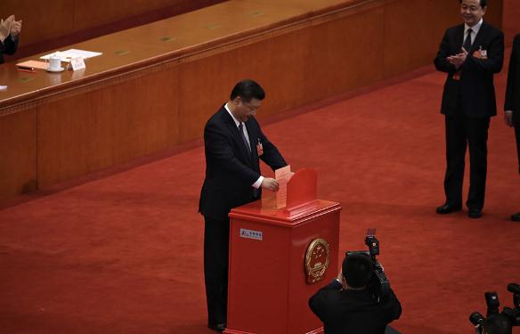 北京观察：参天之木 必有其根