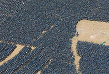 七万辆小蓝单车停放废旧停车场