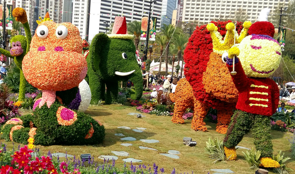 花卉展不仅只有花/祝 之