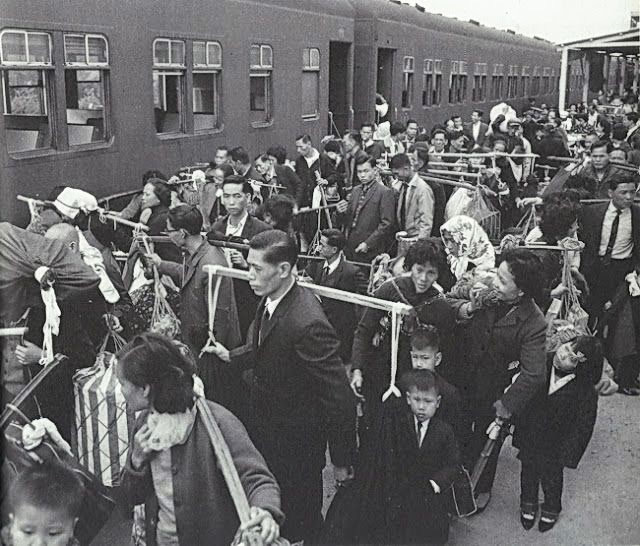 回乡客 游子情\过来人