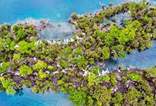 走进初夏的九寨沟光彩依旧