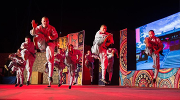 少林功夫闪耀第七届阿斯旺国际文化艺术节